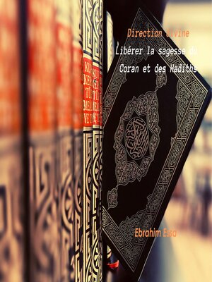 cover image of Direction divine Libérer la sagesse du Coran et des Hadiths